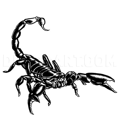 How To Draw Scorpions, Step by Step, Drawing Guide, by MichaelY | dragoart.com | Scorpion tattoo ...