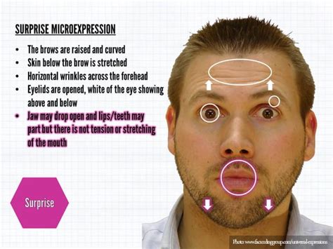 Micro Expressions