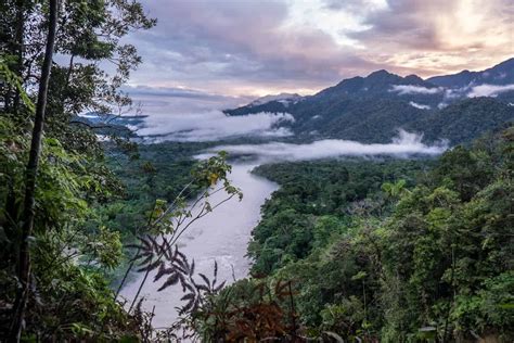 Ecuador is considered one of the most biodiverse countries in the world ...