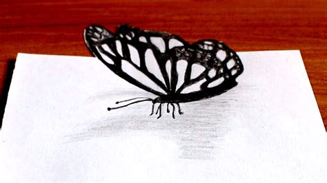 Simple Butterfly Drawing Side View