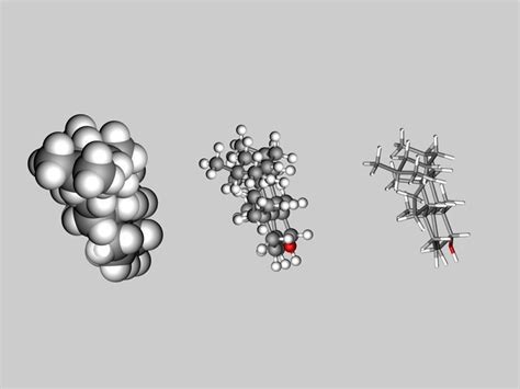 Cholesterol molecule 3D model | CGTrader