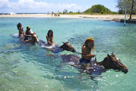 Enjoy These Activities on Your Jamaican Family Vacation | Horseback riding, Places to go, Places ...