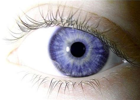 Pin by Karen on Ojos bonitos in 2023 | Blue eyes aesthetic, Indigo eyes ...