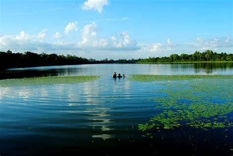 River of bangladesh