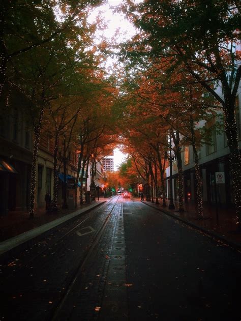 fall foliage | Oregon Fall Foliage