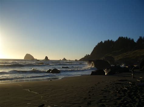 File:Hidden Beach in Redwood National Park, California.jpg - Wikimedia ...