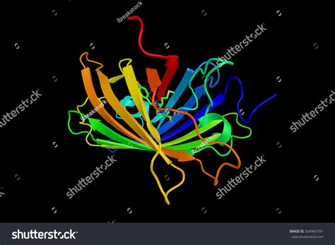 Yellow Fluorescent Protein Genetic Mutant Green Stock Illustration ...