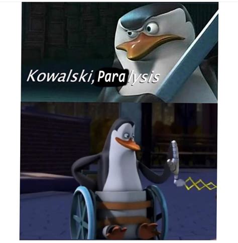 Rare Kowalski : r/Kowalski_Memes