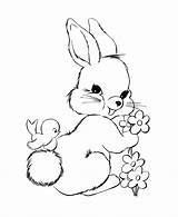 Baby bunnies coloring Pages Download And Print For Free sketch template