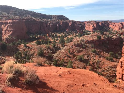 SOLD OUT: Indigenous Knowledge Walk at Jemez Pueblo | 516 ARTS