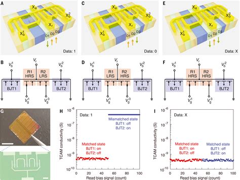 2D materials–based homogeneous transistor-memory architecture for neuromorphic hardware | Science