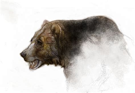 Bear Roaring Drawing at GetDrawings | Free download