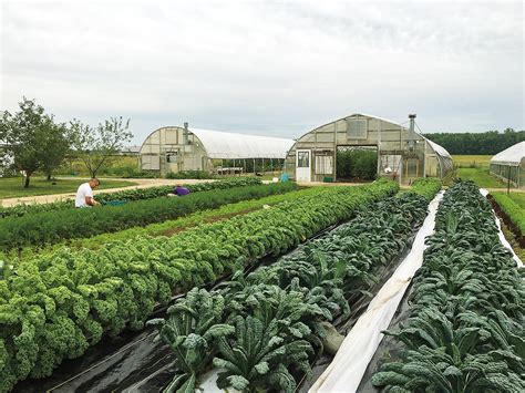 A Smart Setup for Your Farm – Mother Earth News