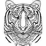 Tigre Desenho Para Colorir sketch template
