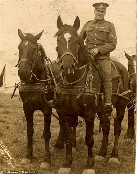 The real-life War Horse: Incredible story of sergeant who refused to put faithful mount down and ...