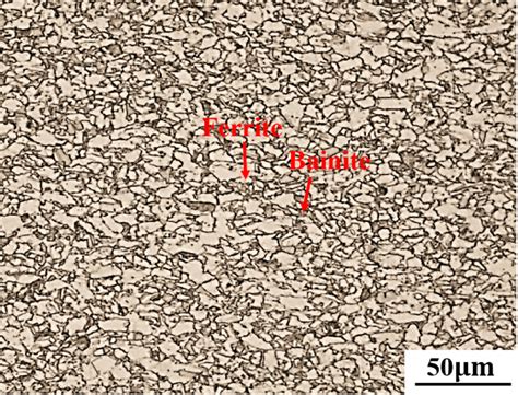 Initial microstructure of the dual-phase steel. | Download Scientific ...