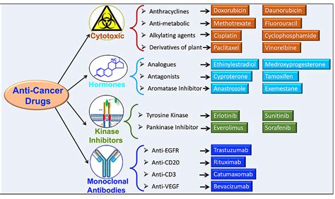 What Classification of Drugs Increases Skeletal Growth in Children