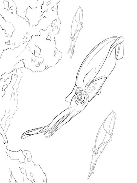 Giant Squid Coloring Pages Octonauts Giant Squid Coloring Pages Print ...