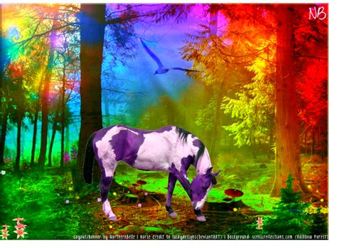 Rainbow Horse Manip by happyfeather on DeviantArt