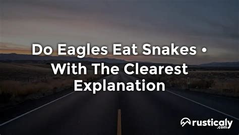 Do Eagles Eat Snakes • Here's Everything You Should Know