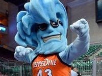 26 College Mascots: West Coast (WCC) ideas | mascot, west coast ...