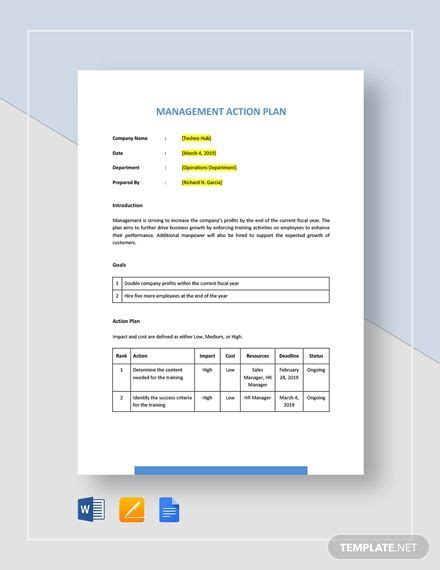 the management action plan template is shown