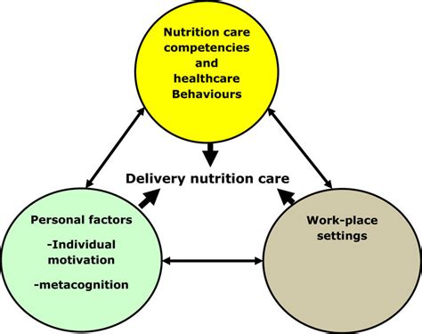 Theoretical model. Adapted from Wood and Bandura’s Triadic Reciprocal ...