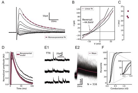 Figure supplement 4 Characterization of GABAergic synapses on 5-HT ...