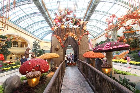 Bellagio Conservatory Whips Out Its Autumnal Resplendence