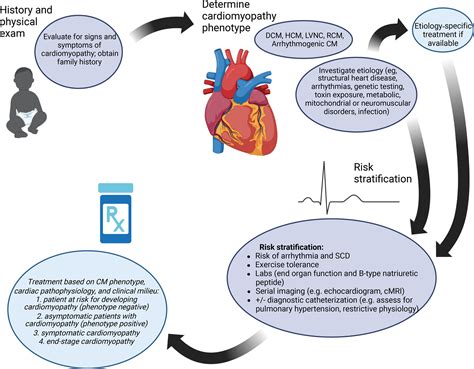 Treatment Strategies for Cardiomyopathy in Children: A Scientific Statement From the American ...