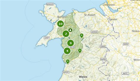 Best Forest Trails in Gwynedd Wales | AllTrails