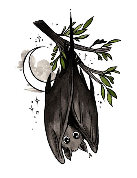 illustration | Bat art, Halloween art, Cute art