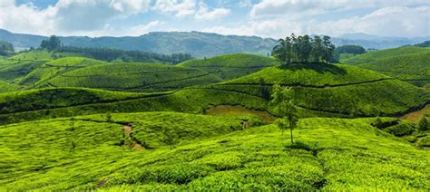 Top 5 Hill Station in Kerala