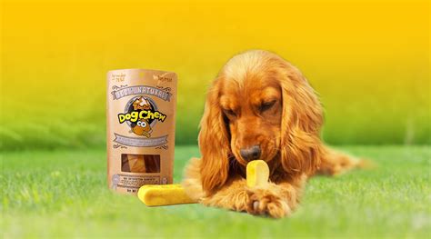 Yak Cheese for Dogs – Tibetan Dog Chew