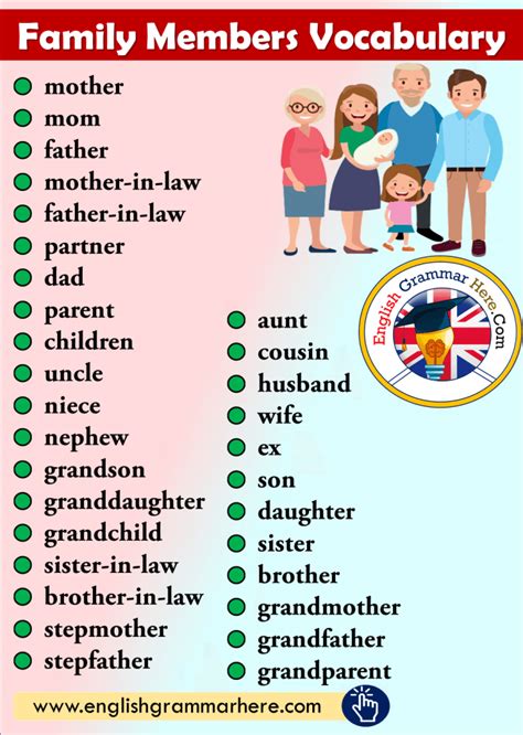 Family Members Vocabulary - English Grammar Here