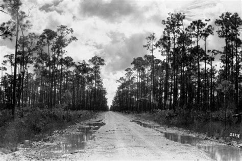 History & Culture - Everglades National Park (U.S. National Park Service)