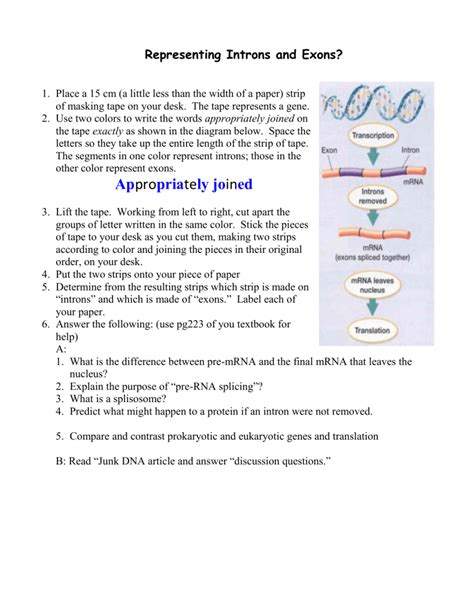 Intron Exon Activity