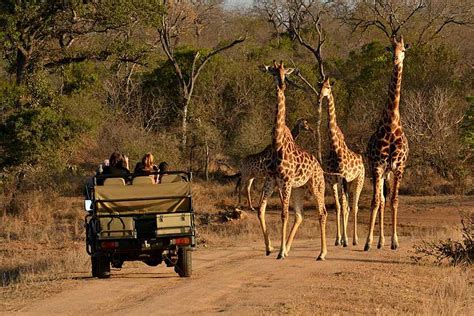 Family safaris at Thornybush Game Lodge | Sand In My Suitcase