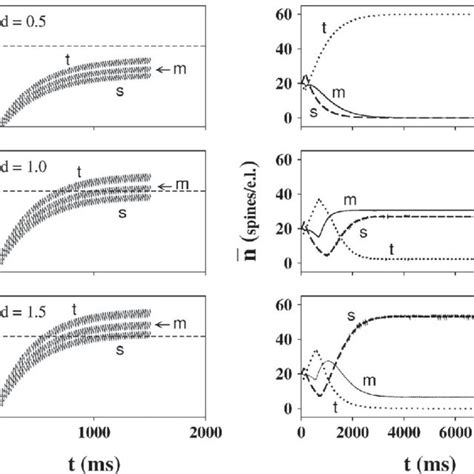 Spine morphology correlates with dendritic diameter in response to ...