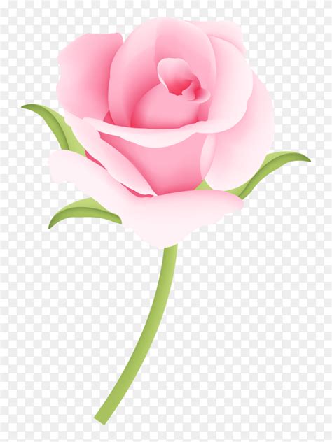 Clipart Pictures Of Roses