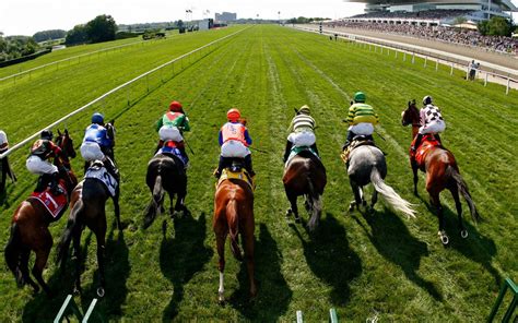 The Basics Of Horse Race Betting In New Zealand - stoopidpigeon.com