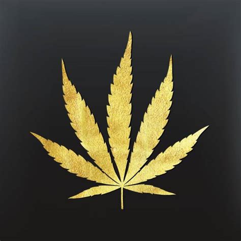 Best Cannabis Sativa Illustrations, Royalty-Free Vector Graphics & Clip Art - iStock