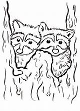 Raccoon Coloring Page  Art Starts sketch template