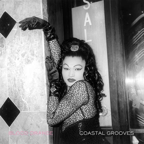 Blood Orange - Coastal Grooves | Blood orange, Pop albums, Album covers