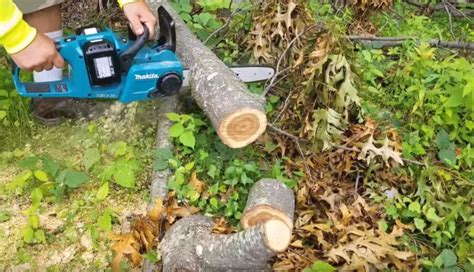 Makita Chainsaw Review & Buying Guide - The Saw Guy