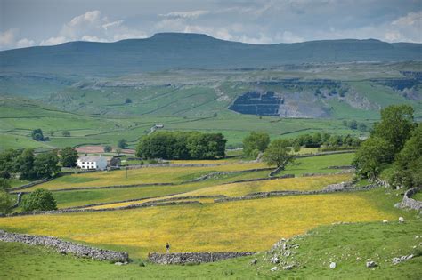 In the landscape - Yorkshire Dales National Park : Yorkshire Dales National Park