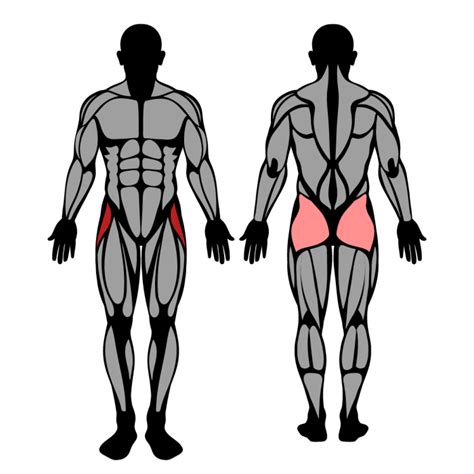 How to Do Hip Abduction Machine: Muscles Worked & Proper Form – StrengthLog