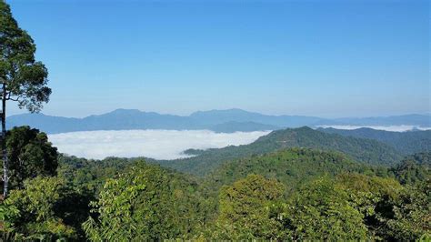 Kaeng Krachan National Park - All You Need to Know BEFORE You Go (2024)