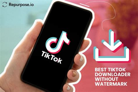 Best Tiktok Video Downloader