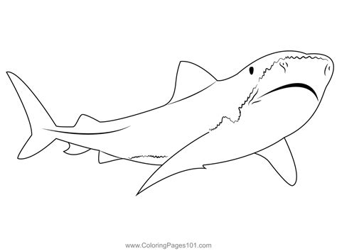 Tiger Shark Coloring Page for Kids - Free Sharks Printable Coloring Pages Online for Kids ...